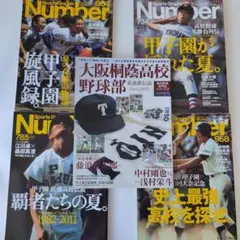 稲葉篤紀 2000本安打達成記念 DVD 非売品 - メルカリ