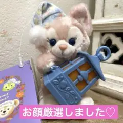 厳選！！フォールズサウンドインビテーション　リーナベルぬいぐるみチャーム　未使用