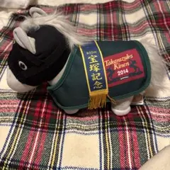 Item thumbnail for item 76d13df7-92c5-443d-b991-830b76489d85