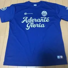 花園近鉄ライナーズ　Tシャツ　L