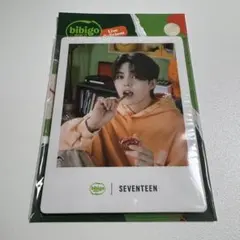 bibigo SEVENTEEN セブチ フォトカード 12枚セット