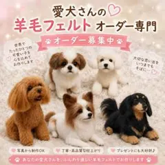 愛犬さんの羊毛フェルト犬 オーダー専門・受付中