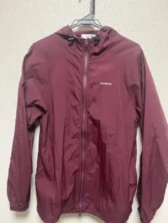 Item thumbnail for item 315c5ef2-f0ff-4a72-9031-7ef9e46eab75