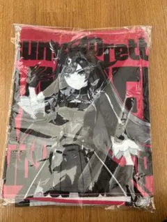 【新品・未使用品】　ラスト　ウマ娘 ドゥラメンテ コラボタオル 2枚セット