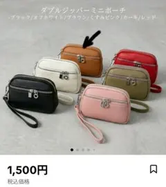＊新品未使用品＊ダブルジッパーミニポーチ 本革 ブラウン