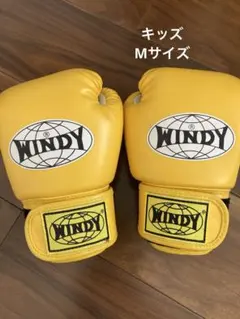 2026年最新】windy グローブの人気アイテム - メルカリ