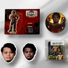 DRAGON GATE ドラゴンゲート アクリルスタンド マグネット 加藤良輝 DRAGON GATE ドラゴンゲート アクリルスタンド マグネット 加藤良輝