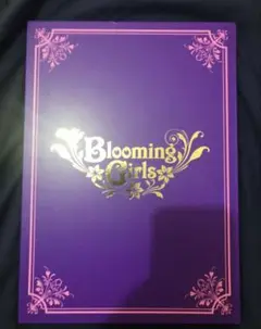 Blooming Girls/南野陽子/森口博子/西村知美　　パンフ　ＣＤ付き