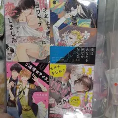 商業 BL 新刊 含 組み換え可能　10才年上のコワモテ美人に恋しました