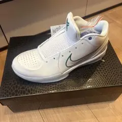 T*O様 NIKE コービー4 プロトロ ドラフトパック pick6 セルティッ