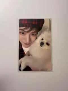 タワレコ ラキドロ