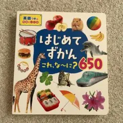 はじめてずかん これ、な～に?650