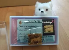 新作！】タイのお守りプラクルアン！猫だ！キャット！幸運&金運UP