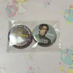 EXILE カプセル ガチャ TETSUYA 缶バッジ