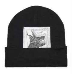 Supreme x The North Face Beanie "Black"