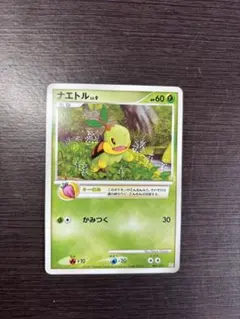 ナエトル PROMO PPPプロモーションカード 001/DP-PPP 未開封】ナエトル PROMO (001/PPP) [ppp] の通販・買取価格（ポケモン