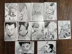 ハイキュー　10th クロニクル