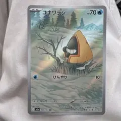 ユキワラシ AR 200/193