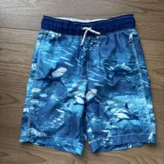 GapKidsサーフパンツ サメ柄