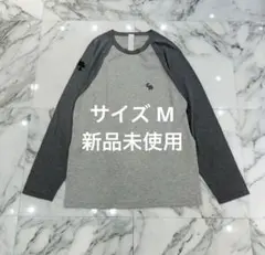 クロムハーツ 3クロスパッチ CHロゴ刺繍 ロンT Lサイズ - メルカリ