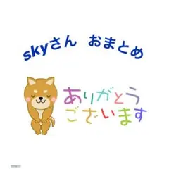 sky様 リクエスト 6点 まとめ商品