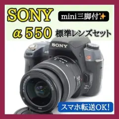 2026年最新】α550 SONYの人気アイテム - メルカリ