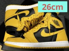 【美品】AIR JORDAN 1 RETRO HIGH OG POLLEN