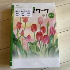iワーク 中1 英国数セット