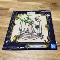 ディズニー　オーロラ　巾着ポーチ