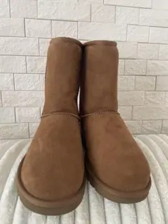 UGG クラシックショートチェスナットムートンブーツサイズ6