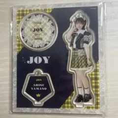 新品未使用 桜井日奈子 10周年記念限定アクリルスタンド - メルカリ