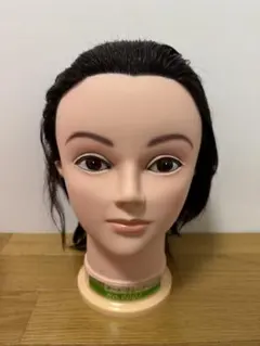 練習用ウィッグ 6体セット カッティングウィッグ アリス トレーニング用 | 練習用ウィッグ