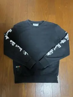 Item thumbnail for item 1321d3af-759a-4cb2-8b8f-d82feffe33fd