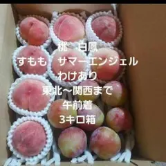 s99山梨県産 サマーエンジェル 赤い すもも 箱込み10kg プラム 訳あり