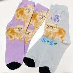 【オリジナル】ポメラニアン　靴下2足セット