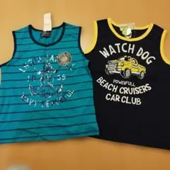 Item thumbnail for item 21436ae0-ecb0-48a4-b72f-ed23361415aa