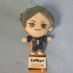 ハイキュー!! ぬいぐるみ 　菅原孝支