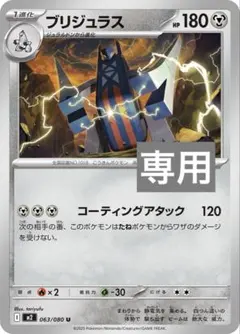 専用