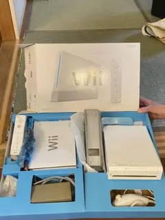 Nintendo Wii RVL-S-WA