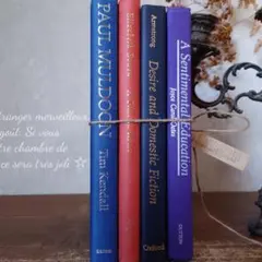 B286 ヴィンテージ 洋書 お洒落な組み合わセット ディスプレイ インテリア