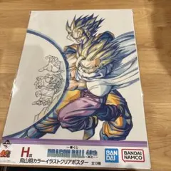 りゅ〜くん様 リクエスト 2点 まとめ商品