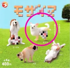 チワワ カプセルトイ