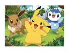 ハガキ ポケモン ピカチュウ ピチュー Pokémon レア 希少 年賀はがき