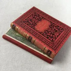 ドイツ古書 2冊セット アンティーク洋書 美装丁 古書　ジャンクジャーナルのサムネイル