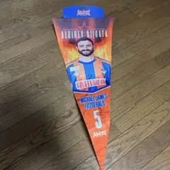 アルビレックス新潟 舞行龍ジェームズ　ペナント