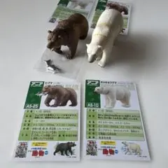 アニア ヒグマ AS-25 ホッキョクグマ AS-10 フィギュアセット 廃盤のサムネイル