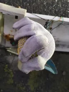 写真（軍手）　L版　コンビニプリント