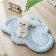 Item thumbnail for item 2e504733-b54a-4744-8dc0-9d51819c2e41