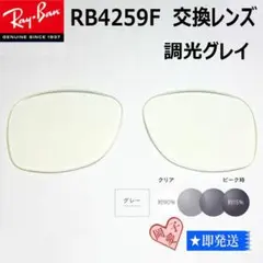 調光グレイ■RB4259F用 交換レンズ■レイバン サングラス SUNGY