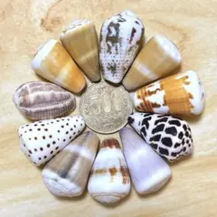 naptimeneko様 リクエスト 2点 まとめ商品